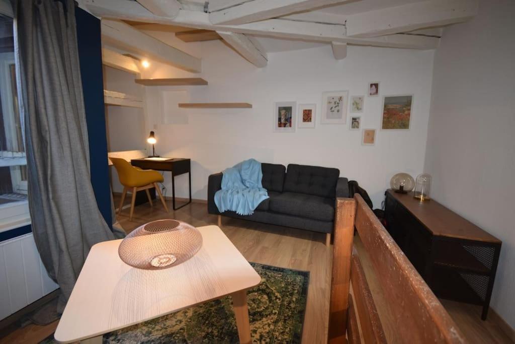 Le Studio Du Quai Des Pecheurs - Charmant Duplex Sur Les Quais Στρασβούργο Εξωτερικό φωτογραφία