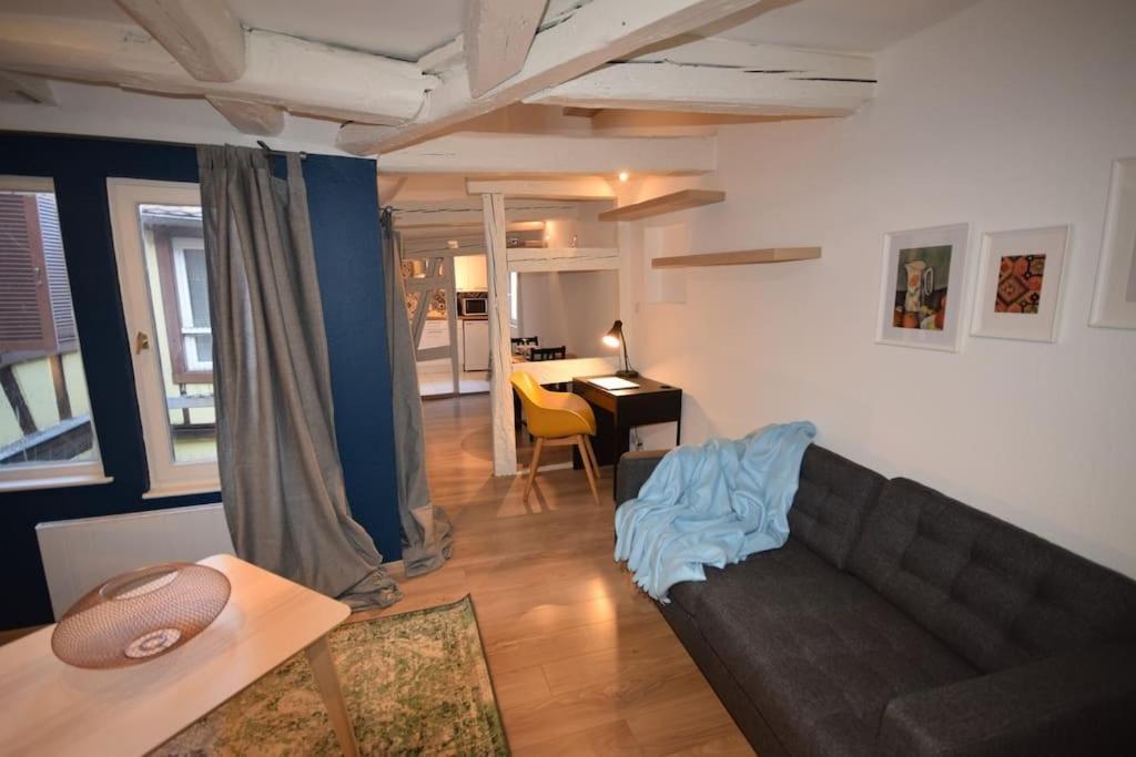 Le Studio Du Quai Des Pecheurs - Charmant Duplex Sur Les Quais Στρασβούργο Εξωτερικό φωτογραφία