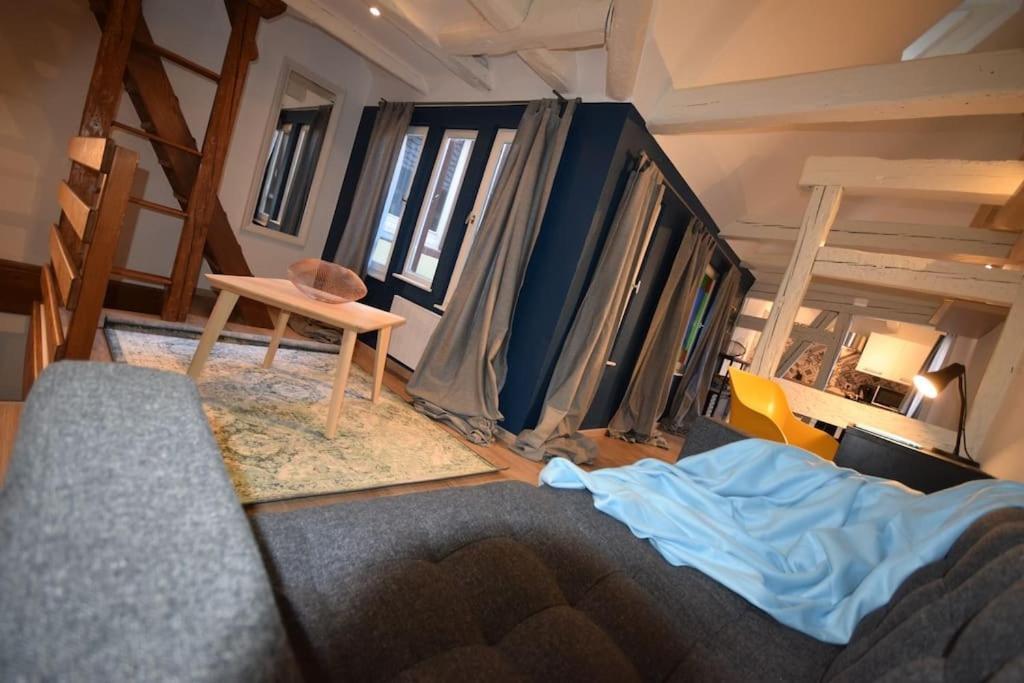Le Studio Du Quai Des Pecheurs - Charmant Duplex Sur Les Quais Στρασβούργο Εξωτερικό φωτογραφία