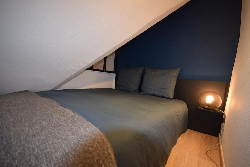 Le Studio Du Quai Des Pecheurs - Charmant Duplex Sur Les Quais Στρασβούργο Εξωτερικό φωτογραφία